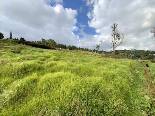 地皮  Envigado, Departamento de Antioquia