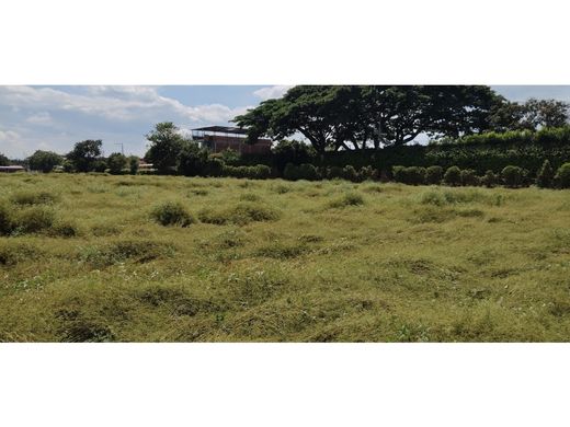 地皮  Palmira, Departamento del Valle del Cauca