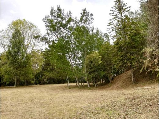 أرض ﻓﻲ Envigado, Departamento de Antioquia