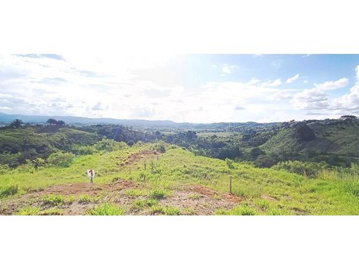 Demeure ou Maison de Campagne à La Tebaida, Quindío Department