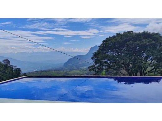 Gospodarstwo w Tarso, Departamento de Antioquia