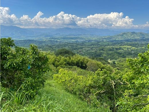 Boerderij in Manizales, Departamento de Caldas