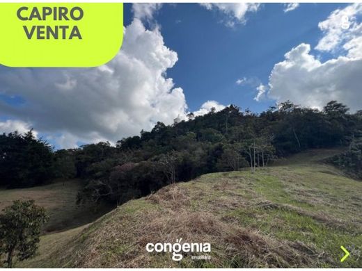 Terreno a Rionegro, Departamento de Antioquia
