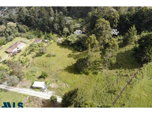 Αγροτεμάχιο σε Rionegro, Departamento de Antioquia