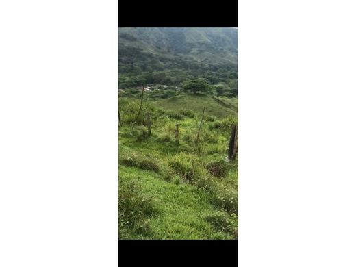 Terreno en La Virginia, Departamento de Risaralda