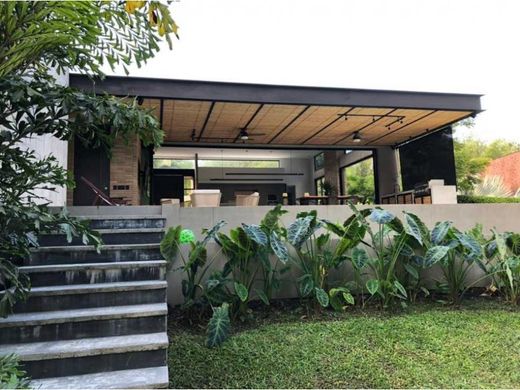 Gospodarstwo w Pereira, Departamento de Risaralda