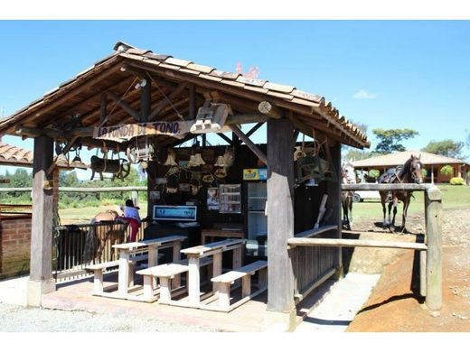 ﻣﻨﺰﻝ ﺭﻳﻔﻲ/ ﺑﻴﺖ ﻤﺰﺭﻋﺔ ﻓﻲ ميديلين, Medellín