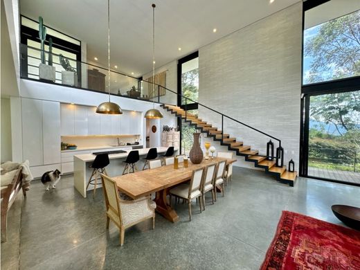 호화 저택 / 메데인, Medellín