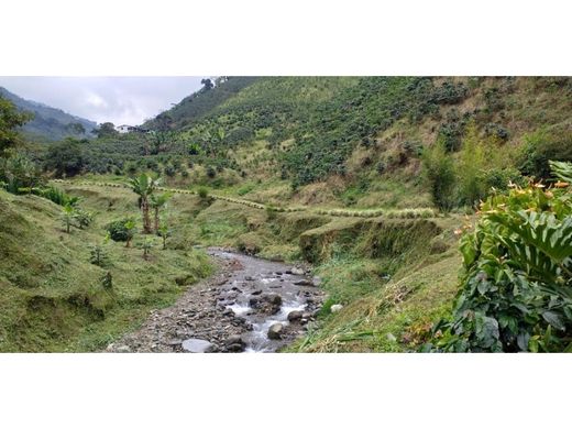 Ferme à Santa Rosa de Cabal, Departamento de Risaralda