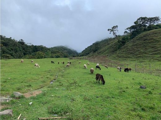 Rustico o casale a Pueblo Rico, Departamento de Risaralda