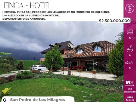 Luxus-Haus in San Pedro, San Pedro de los Milagros