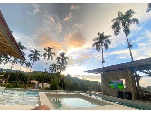 Albergo a Manizales, Departamento de Caldas