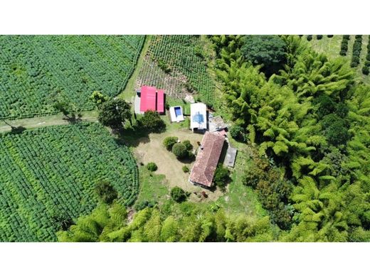 전원/농가 / Montenegro, Quindío Department