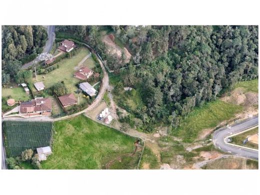 Teren w Envigado, Departamento de Antioquia