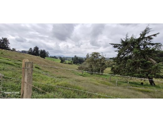 Grundstück in Rionegro, Departamento de Antioquia