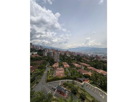 Daire Medellín, Departamento de Antioquia