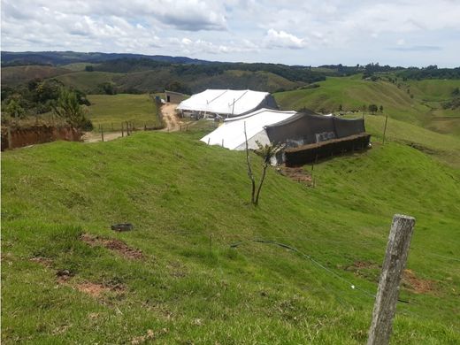 ‏בתים כפריים או חוות ב  Santa Rosa de Osos, Departamento de Antioquia