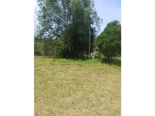 La Ceja, Departamento de Antioquiaのカントリー風またはファームハウス