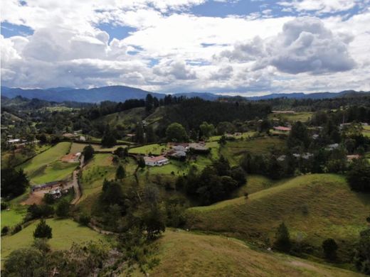 Arsa Retiro, Departamento de Antioquia