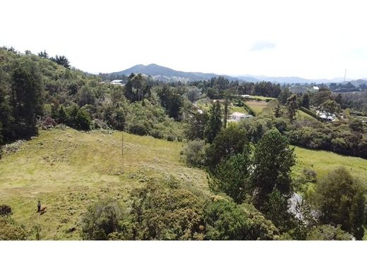 Terrain à Rionegro, Departamento de Antioquia