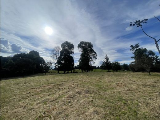 Terreno en Envigado, Departamento de Antioquia