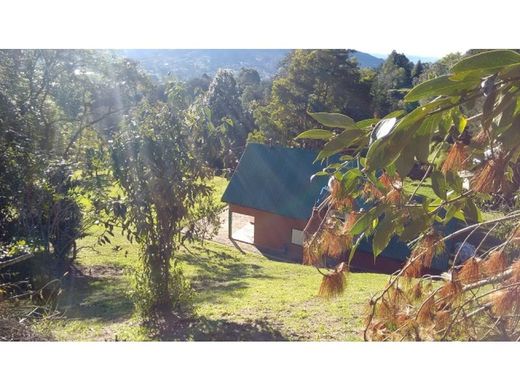 Ferme à La Ceja, Departamento de Antioquia