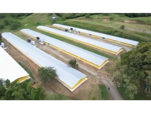 Terreno en Guadalajara de Buga, Departamento del Valle del Cauca