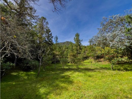 Grond in Medellín, Departamento de Antioquia