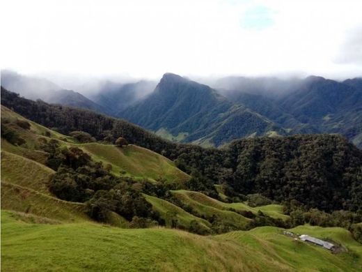Сельский Дом, Salento, Quindío Department