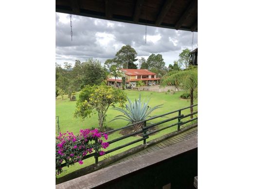 Gospodarstwo w Rionegro, Departamento de Antioquia
