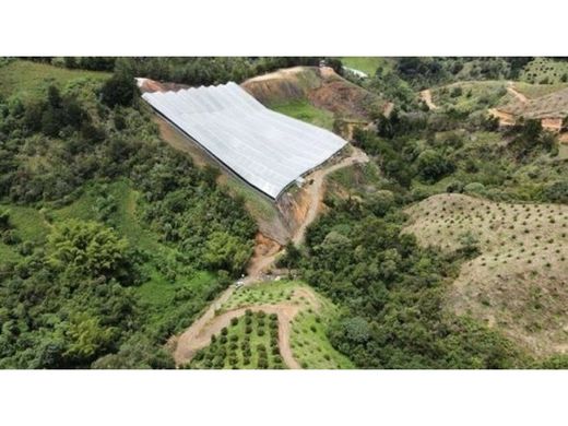 ‏בתים כפריים או חוות ב  San Vicente, San Vicente Ferrer