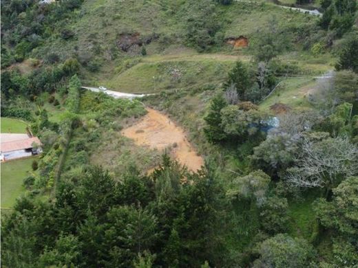 토지 / Rionegro, Departamento de Antioquia