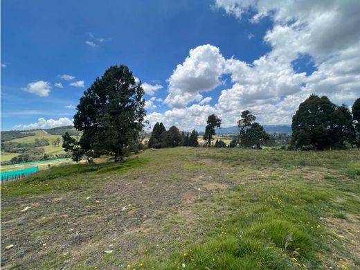 ‏קרקע ב  מדיין
, Medellín