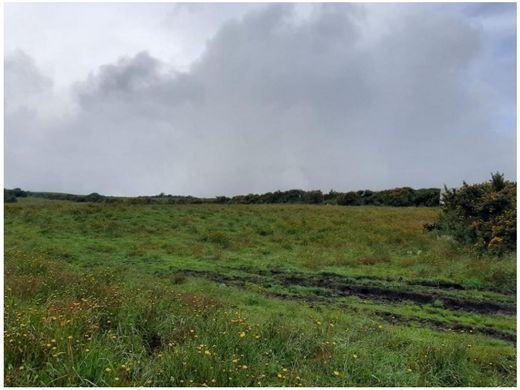 Quinta rústica - Puerto López, Departamento del Meta