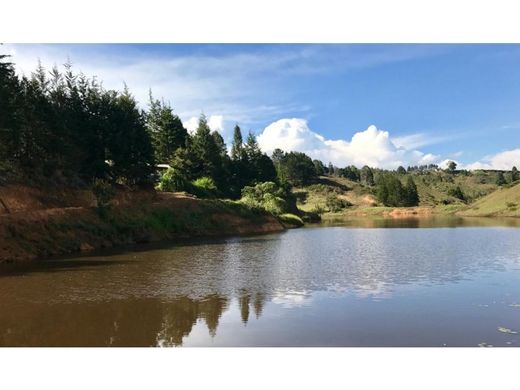 Terrain à Rionegro, Departamento de Antioquia