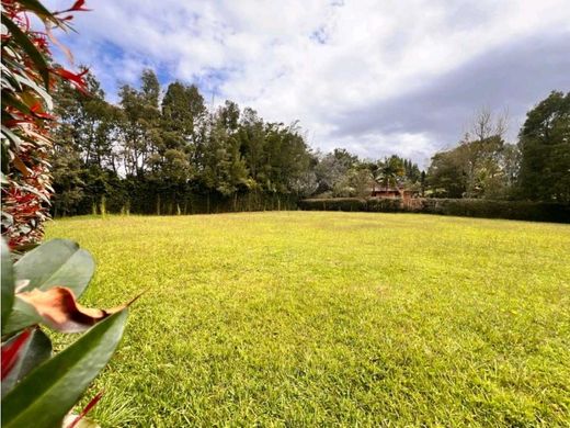 Terrain à Rionegro, Departamento de Antioquia