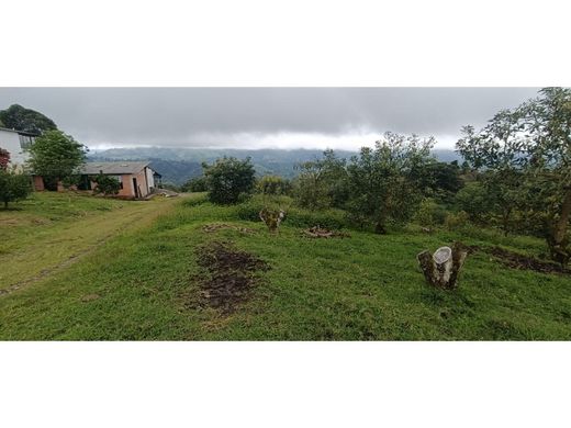 Rustik ya da çiftlik Circasia, Quindío Department