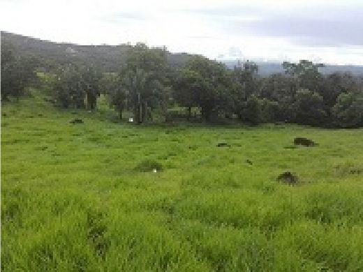 Terrain à Carmen de Apicalá, Departamento de Tolima