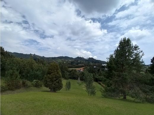 Arsa Envigado, Departamento de Antioquia