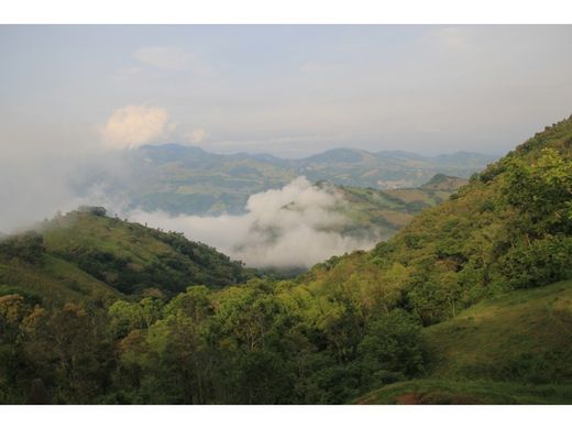 Ferme à Fredonia, Departamento de Antioquia