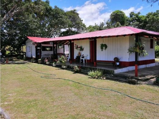 ‏בתים כפריים או חוות ב  Puerto Berrío, Departamento de Antioquia