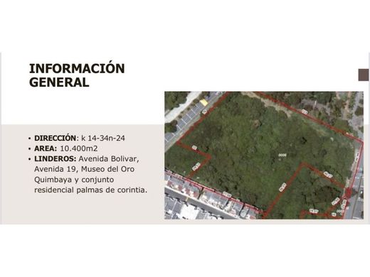 Arsa Armenia, Quindío Department