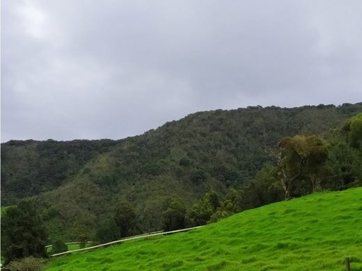 Ρουστίκ ή αγροικία σε San Pedro, San Pedro de los Milagros