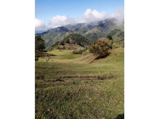 Rustik ya da çiftlik Cajamarca, Departamento de Tolima