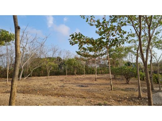 Grundstück in Montería, Departamento de Córdoba