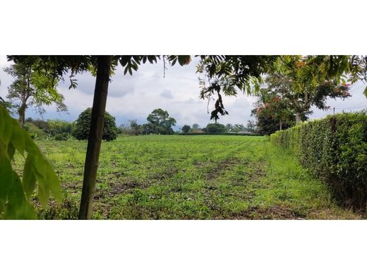 Grond in Armenia, Quindío Department