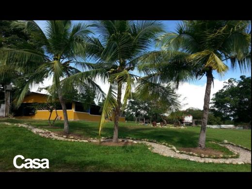 Gutshaus oder Landhaus in Villanueva, San Luis de Palenque