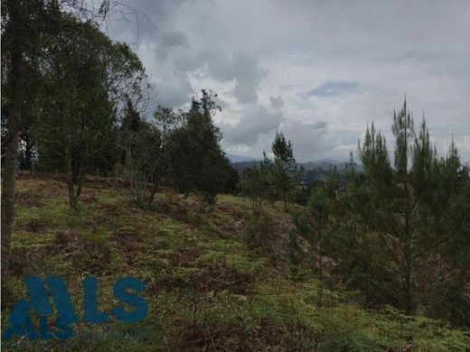 Teren w Guarne, Departamento de Antioquia