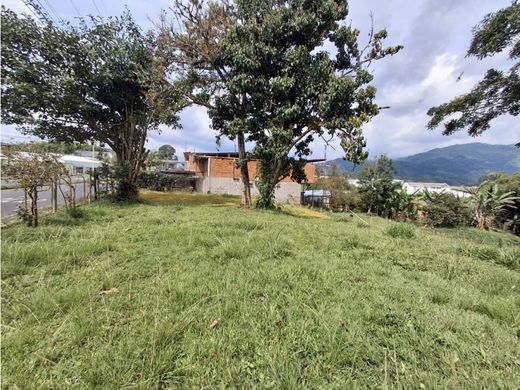 Land in Armenia, Quindío Department