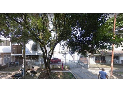 地皮  卡利, Cali